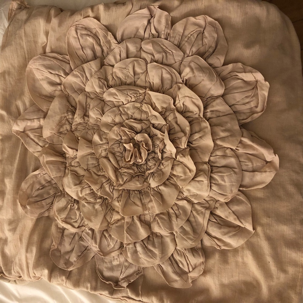 Two Anthropologie Euro Pillow Shams